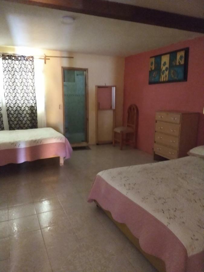 El paraíso de Zacatlán Departamento planta baja, 11 pax Exterior foto