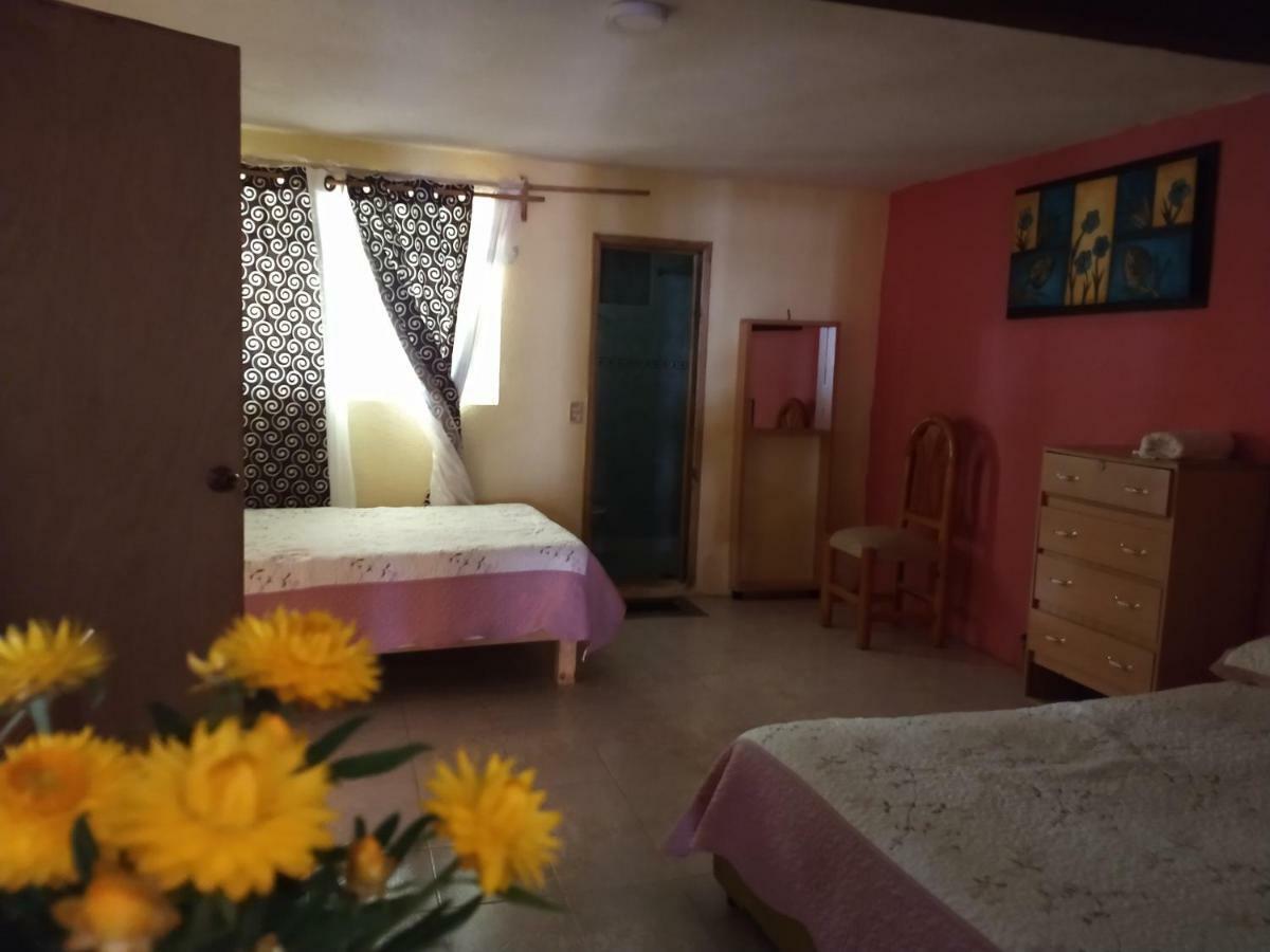 El paraíso de Zacatlán Departamento planta baja, 11 pax Exterior foto